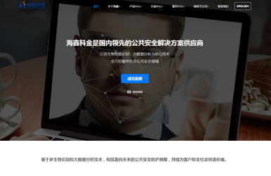 上市公司官方网站建设
